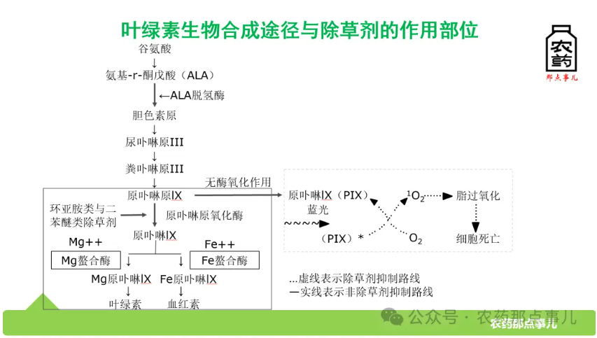 一文读懂PPO抑制剂类除草剂的演进与市场破局