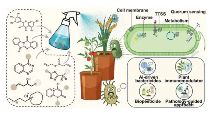 宋宝安院士团队发文综述植物病原细菌防治新靶标、新化合物与AI设计前沿
