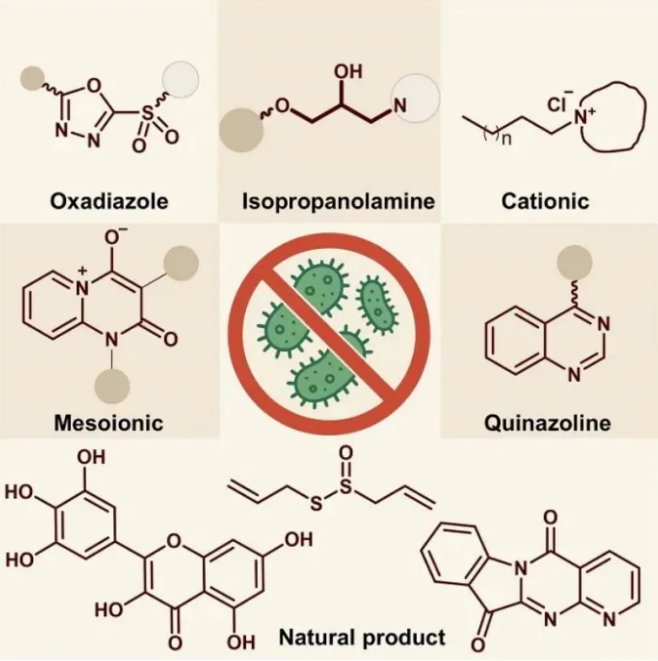 宋宝安院士团队发文综述植物病原细菌防治新靶标、新化合物与AI设计前沿