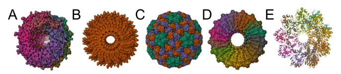 新朝阳健力希®成功上市：″微藻蛋白肽″作物免疫病毒的新路径