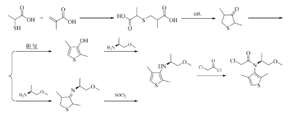 高选择性除草剂精二甲吩草胺的研究应用、市场开发与合成工艺综览