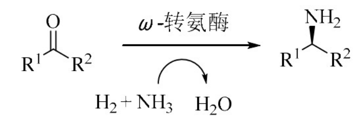 高选择性除草剂精二甲吩草胺的研究应用、市场开发与合成工艺综览