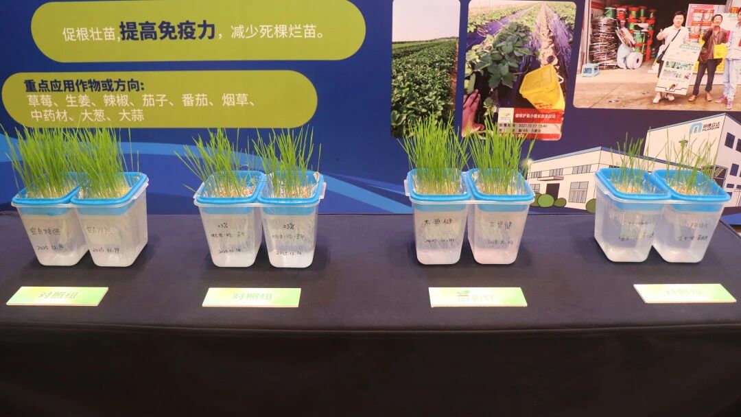 明德立达：依托两大创新技术引擎，实现弯道超车