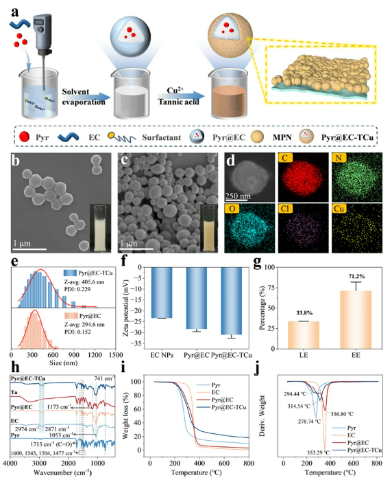 刘西莉课题组制备出负载吡唑醚菌酯的纳米农药，对水稻纹枯病显示出优异防效