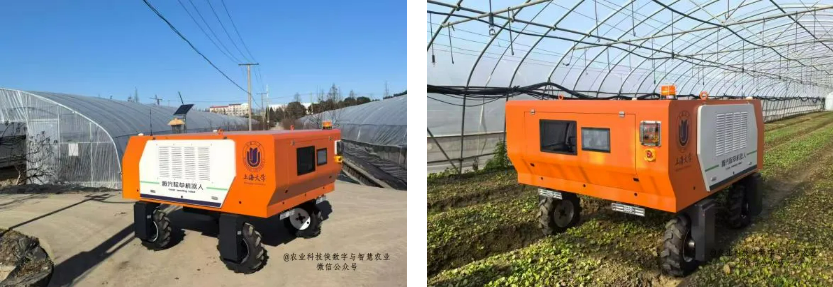 上海大学成功研发智能激光除草机器人，已在沪多个基地示范应用