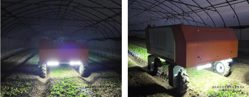 上海大学成功研发智能激光除草机器人，已在沪多个基地示范应用