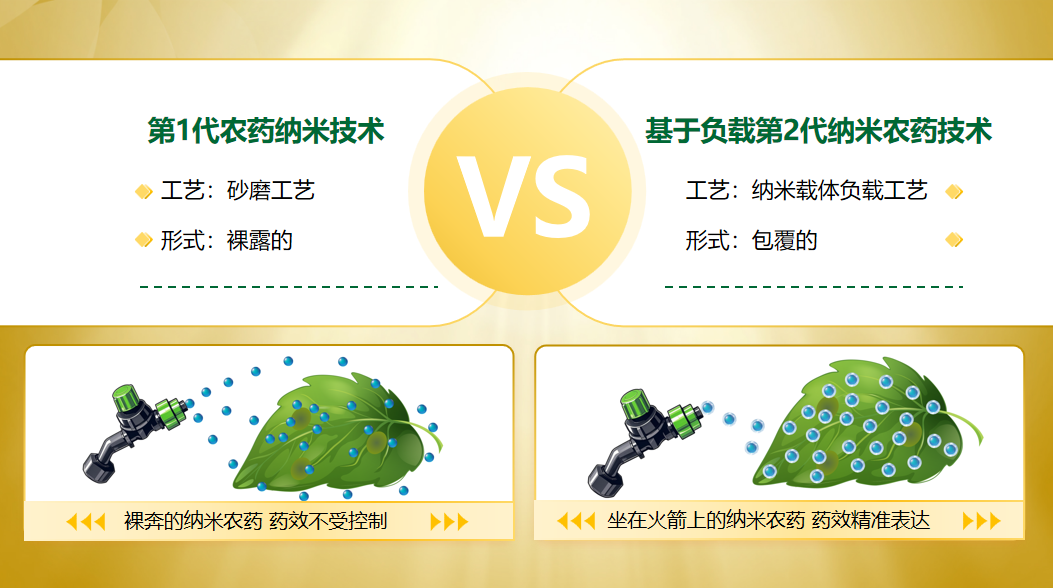 艾津集团:隆重发布津灿灿®品牌,全面升级三大核心赛道