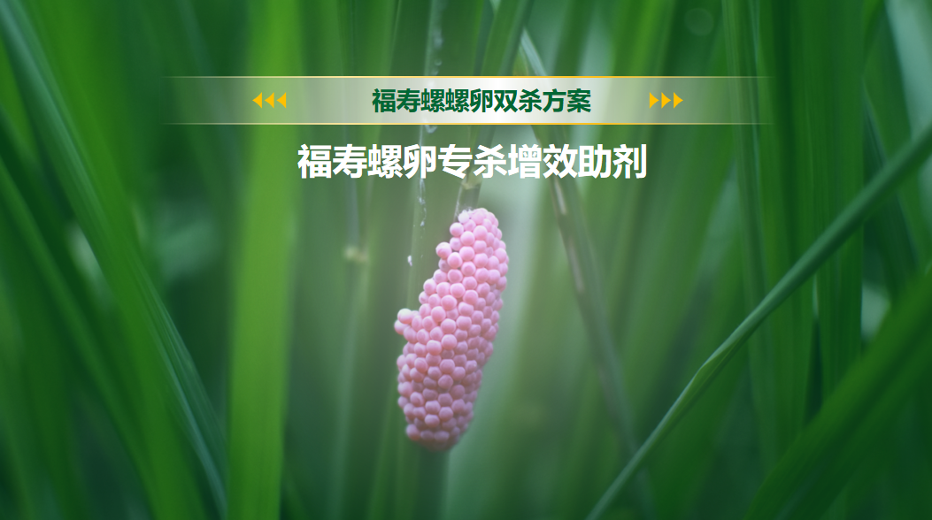 艾津集团:隆重发布津灿灿®品牌,全面升级三大核心赛道