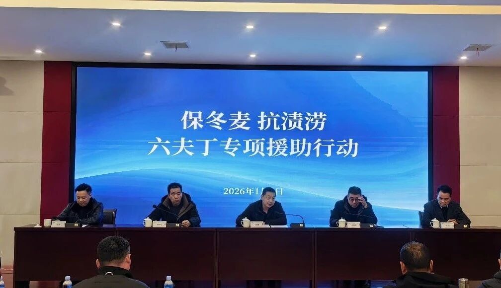 河南省召开六县市“保冬麦抗渍涝”专项援助行动启动会