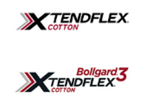 HPPD抑制剂基因导入，将如何激活棉花耐除草剂技术的下一场革命？