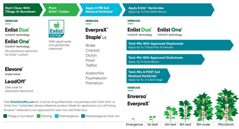 HPPD抑制剂基因导入，将如何激活棉花耐除草剂技术的下一场革命？