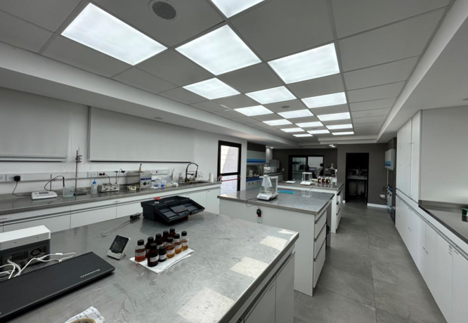 链接全球供应链,打造南美通路:阿根廷Peyte升级全球网络,解锁区域新机遇