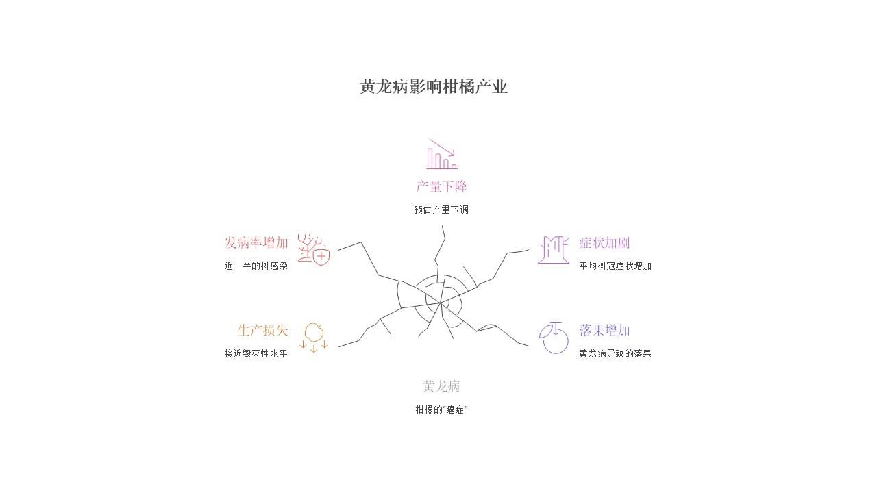 幻灯片3.JPG 基因编辑与天然免疫双重突破,2025年柑橘产业在黄龙病重压下寻得技术曙光