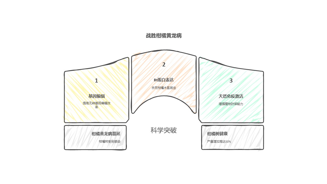 幻灯片2.JPG 基因编辑与天然免疫双重突破,2025年柑橘产业在黄龙病重压下寻得技术曙光