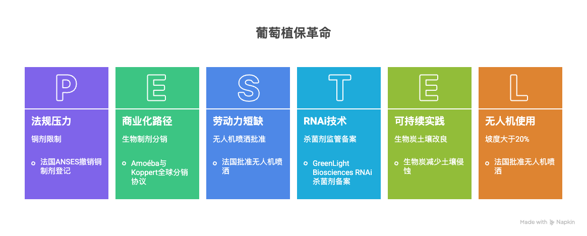 2025葡萄产业年度回顾：数字化、生物化与可持续化重塑种植未来