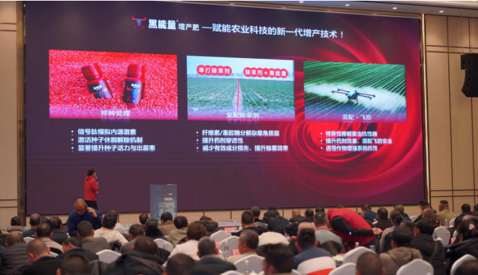 黑能量优势突出，提质增产看得见