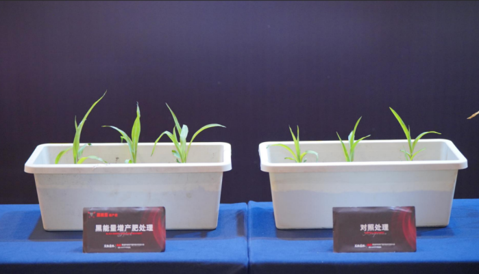 黑能量优势突出，提质增产看得见