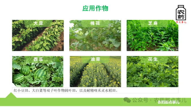 一文读懂ACCase抑制剂类除草剂 ″精喹禾灵″