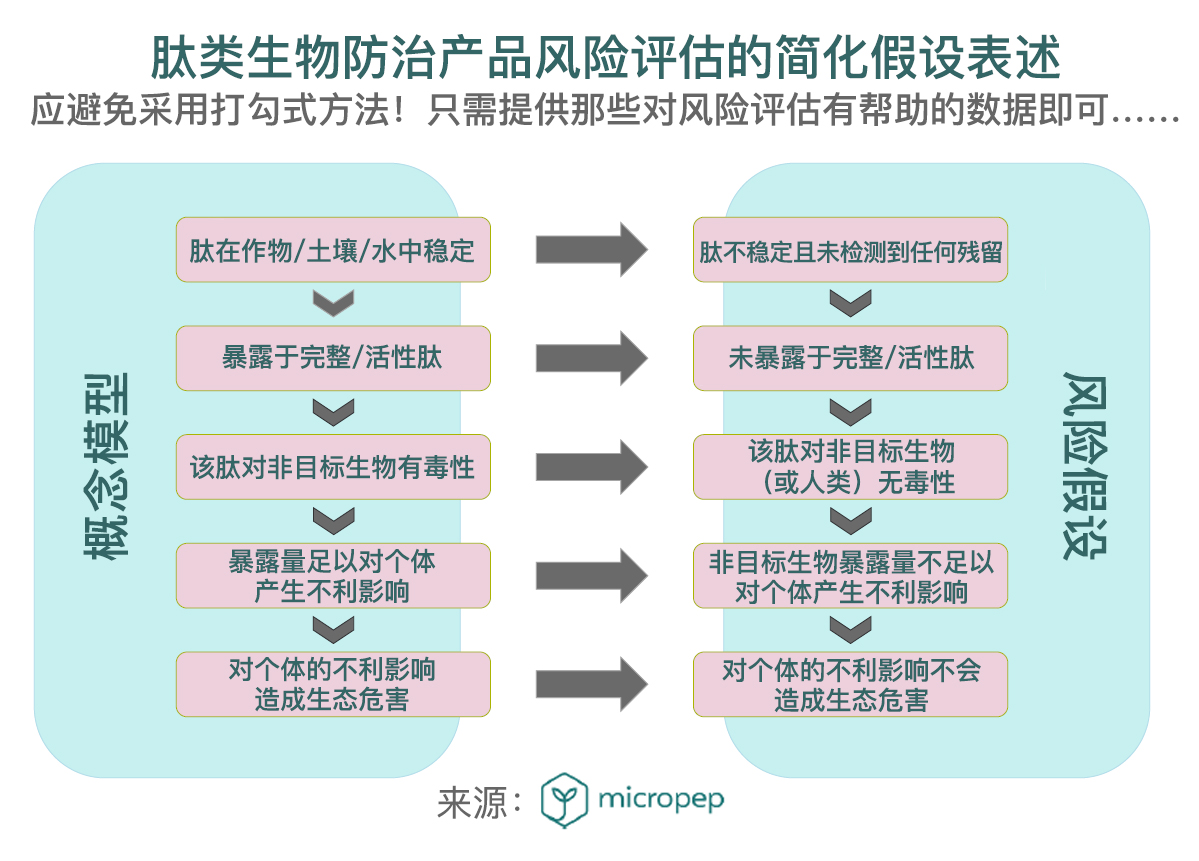 肽类生物防控产品：当科学创新速度超越监管体系更新