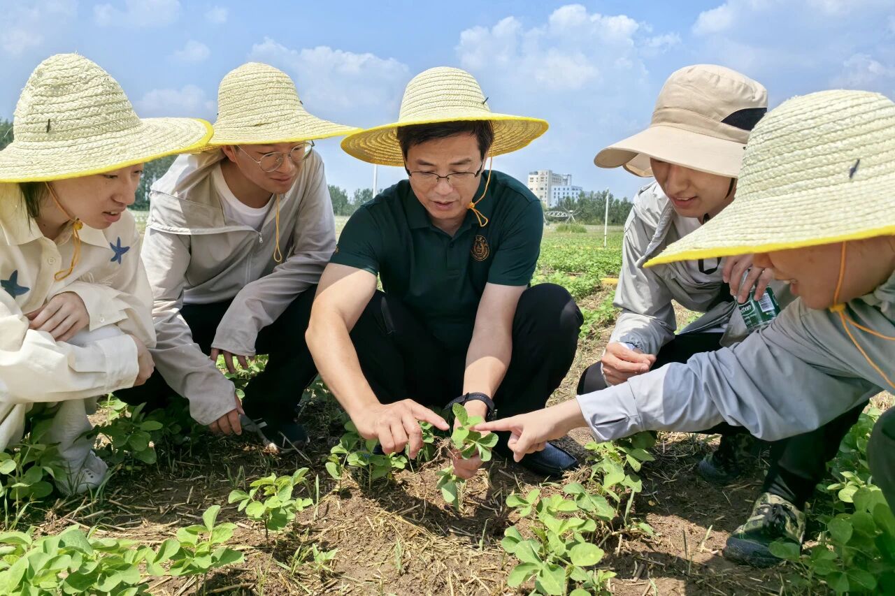 特等奖！南农大创制新农药效果突出