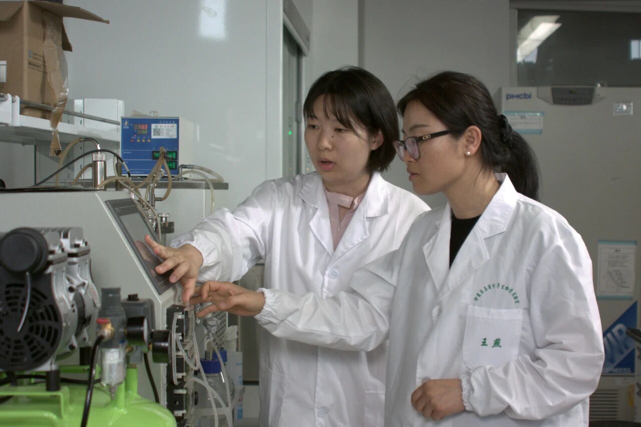 特等奖！南农大创制新农药效果突出