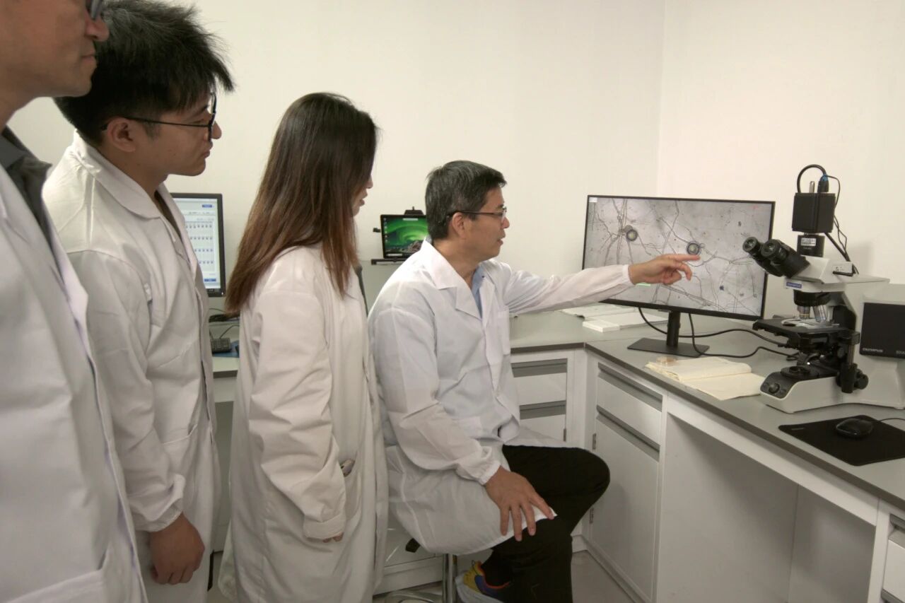 特等奖！南农大创制新农药效果突出