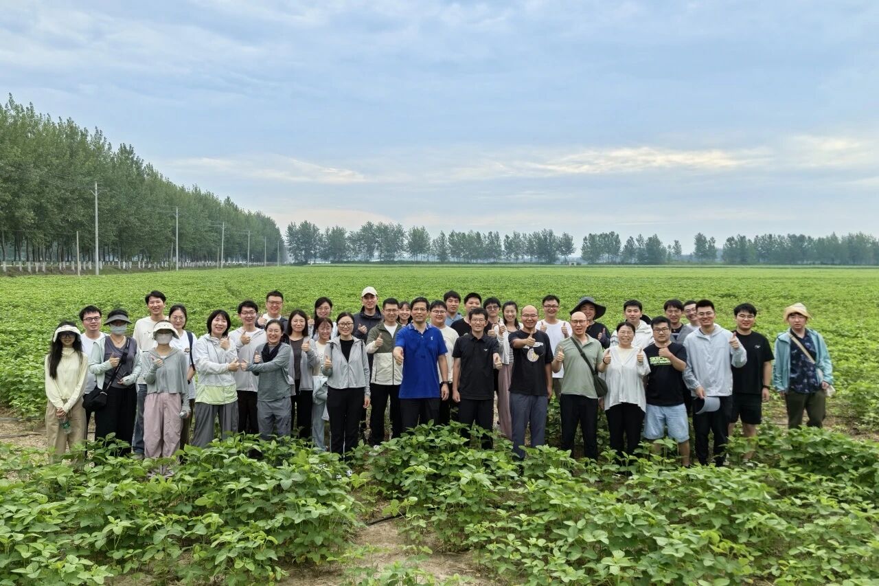 特等奖！南农大创制新农药效果突出