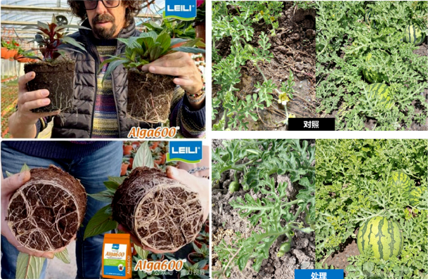 从北京到全球田间：雷力33周年庆展现″平衡农业″的全球落地实践