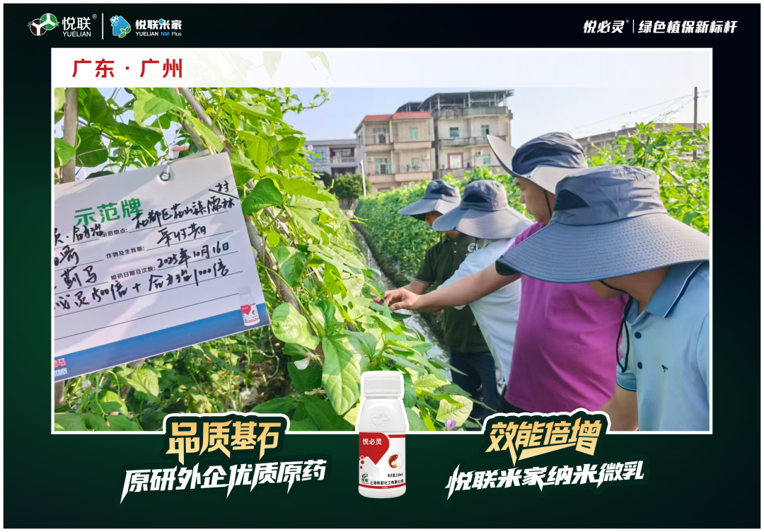 不只是乙基多杀：悦必灵®叠加″纳米级″微乳化工艺，专治顽固性蓟马