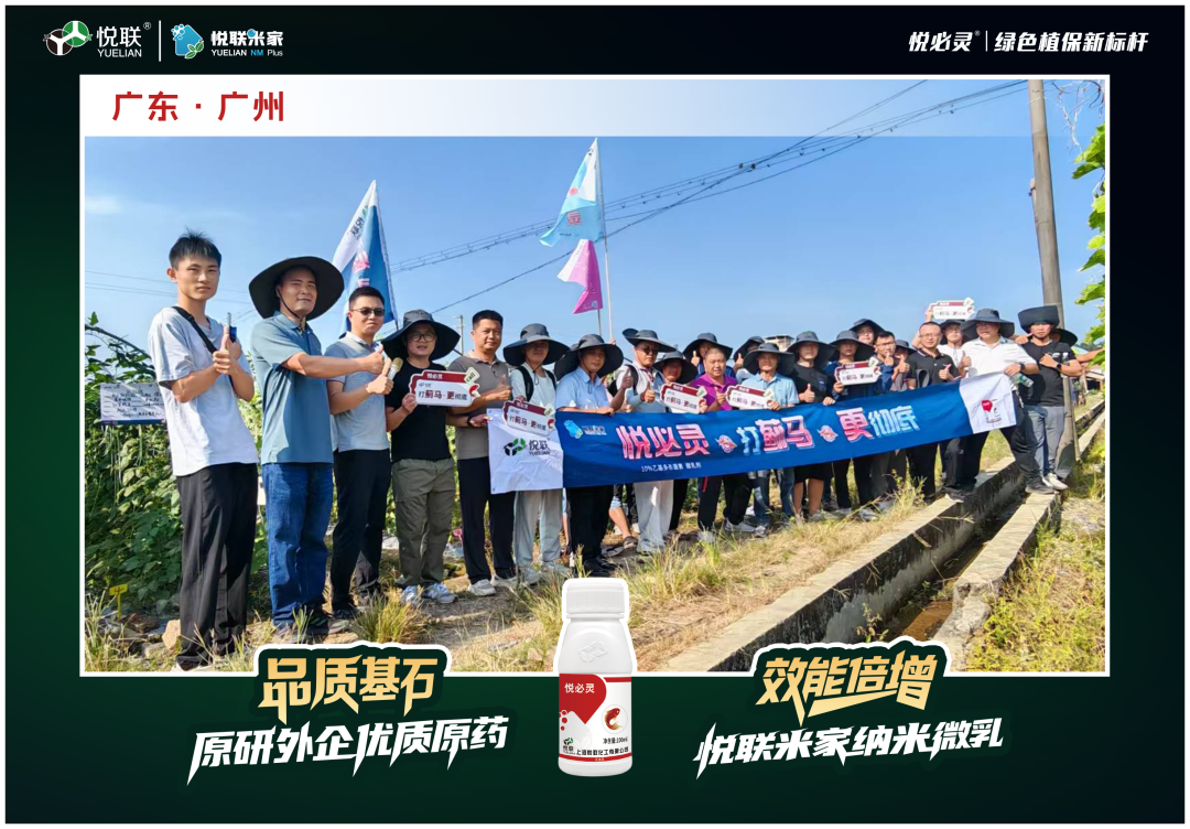 不只是乙基多杀：悦必灵®叠加″纳米级″微乳化工艺，专治顽固性蓟马