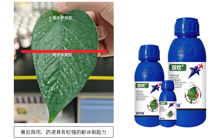 深耕26载：亿嘉集团以纳米油膜悬浮工艺引领农药剂型革新