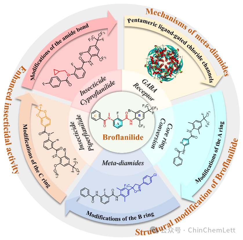 靶向GABA受体的间二酰胺类杀虫剂研究进展