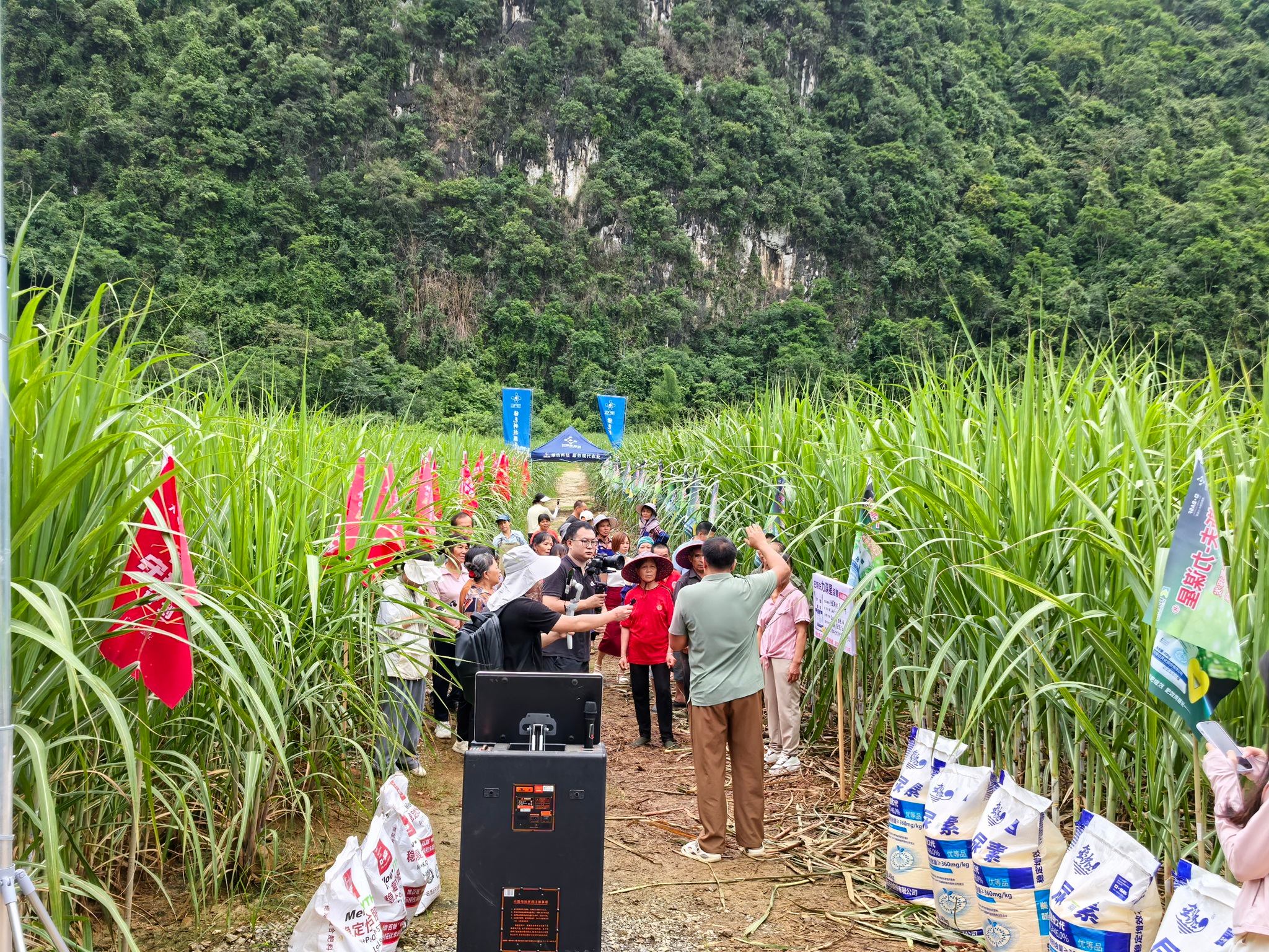 巴斯夫与云天化将力谋星®(Limus®)脲酶抑制剂的合作延长至2030年