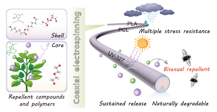 中国农科院植保所成功创制基于核壳结构微纳纤维膜的金龟子驱避剂
