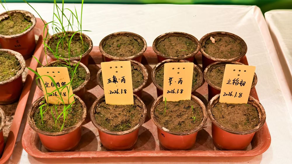 明德立达重磅推出新产品，开创水稻省工除草新时代