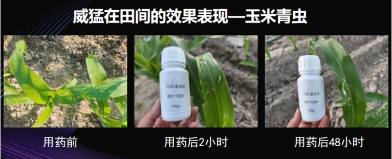 首张″双效王牌″诞生！六夫丁威猛®独家复配溴氰虫酰胺·乙基多杀菌素，以差异化技术破局抗性害虫治理
