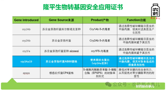 手握五张安全证书，国投系生物育种平台驶入商业化快车道
