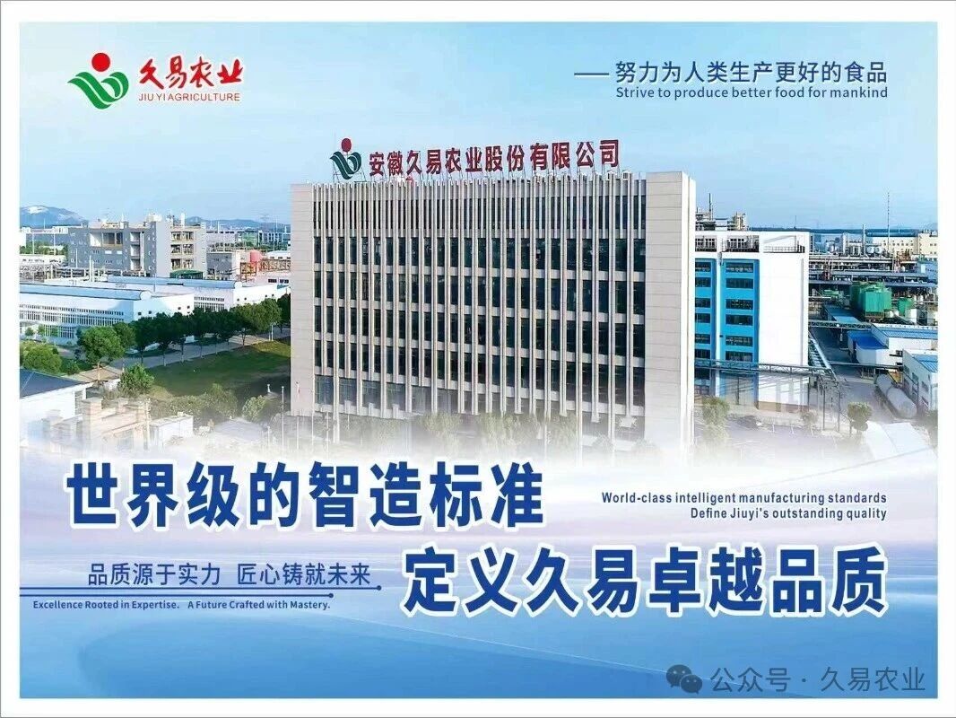 久易股份喜获殊荣，科技创新再获权威肯定