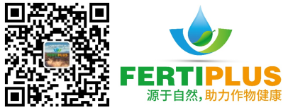 植物″亚健康″警报已拉响，″植物芯免疫″带来新方向！