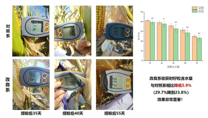 未米生物自主基因编辑工具CasY7-WM01连获两项基因编辑安全证书
