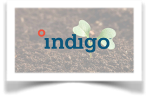 封锁孵化：Indigo农业如何构建全季生物防线应对大豆孢囊线虫危机