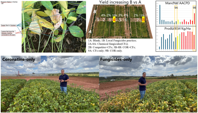 重大发现！Nature Plants揭示植物系统免疫″发令枪″：COR冠菌素迎来应用新时代