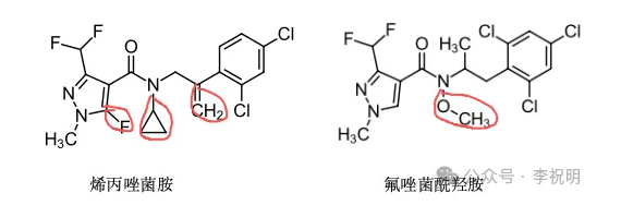 江苏中旗研发的新型吡唑酰胺类杀菌剂——烯丙唑菌胺