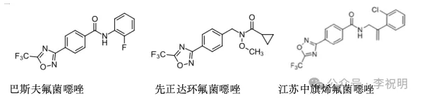新型噁二唑类杀菌剂—环氟菌噁唑