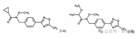 新型噁二唑类杀菌剂—环氟菌噁唑
