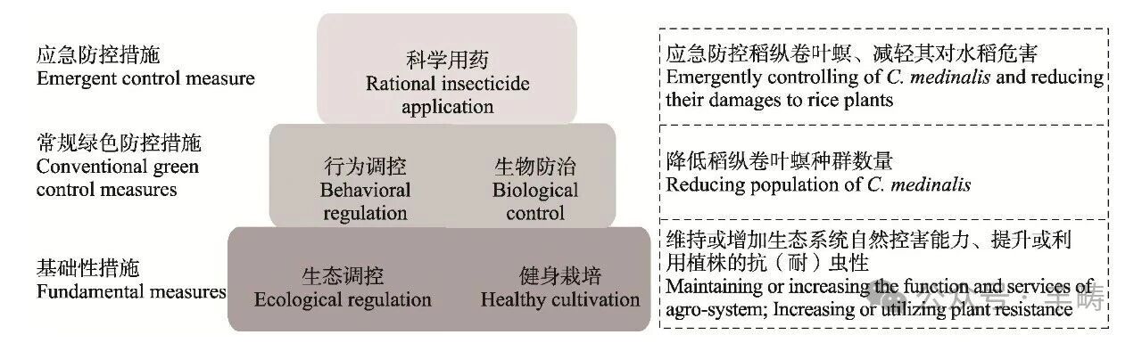 微信图片_2026-02-25_095306_927.jpg 稻纵卷叶螟气候适应性机制与全球变暖背景下的防控挑战
