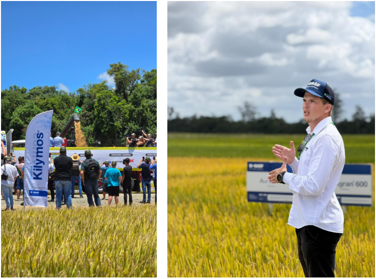 巴斯夫在巴西推出水稻专用杀菌剂Kilymos，复配三环唑与氯氟醚菌唑