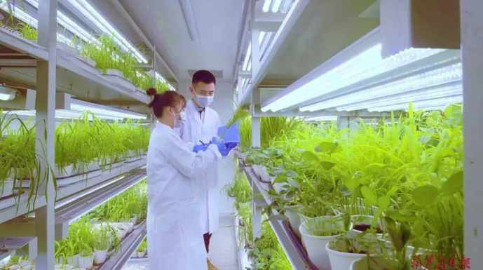 剑指50亿元产值,辽宁先达以“全链创新”破局突围