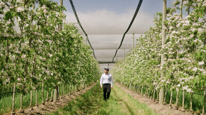 825504364155604960.png 拜耳在澳推出新型杀螨剂Interrupt,螺甲螨酯新机理防治二斑叶螨