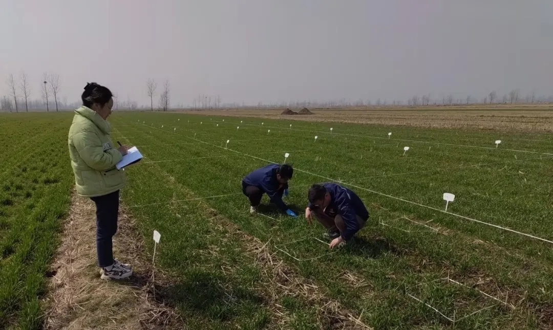 640_wx_fmt=jpeg&from=appmsg&tp=webp&wxfrom=5&wx_lazy=1 (3).jpg 青岛金尔与湖南农科院签订合作协议,聚焦″除草剂控释制剂″等核心领域联合攻关